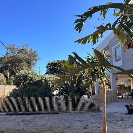 Bas De Villa - 300M Plage De La Capte - 2 Hebergements Disponibles Ιέρ Εξωτερικό φωτογραφία